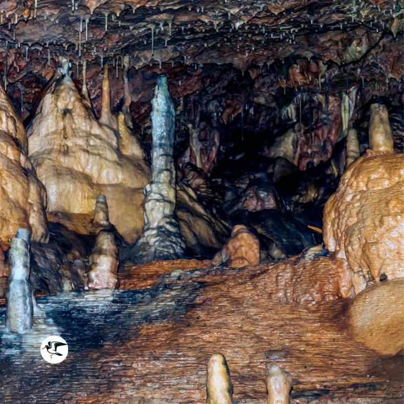 Inside Kent's Caverns in Devon