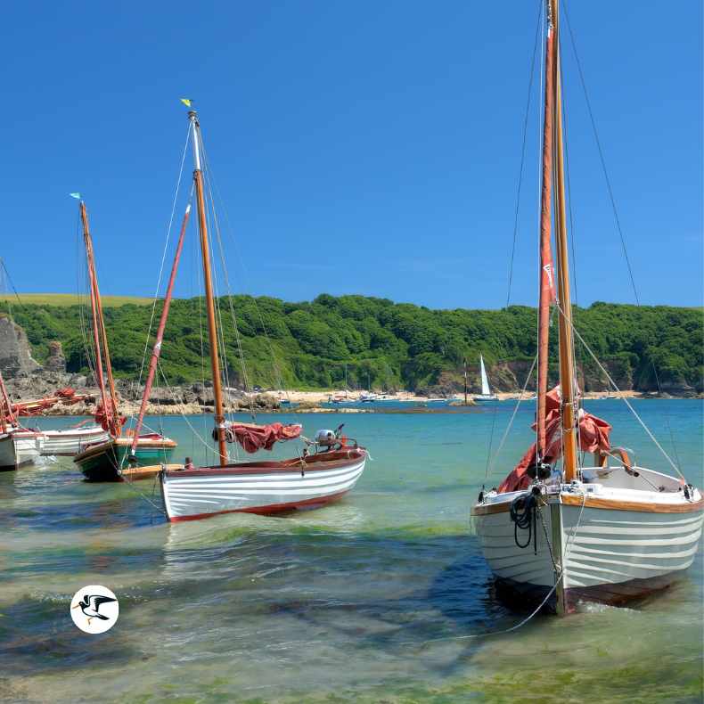 Boats at Salcombe, Devon in the summer