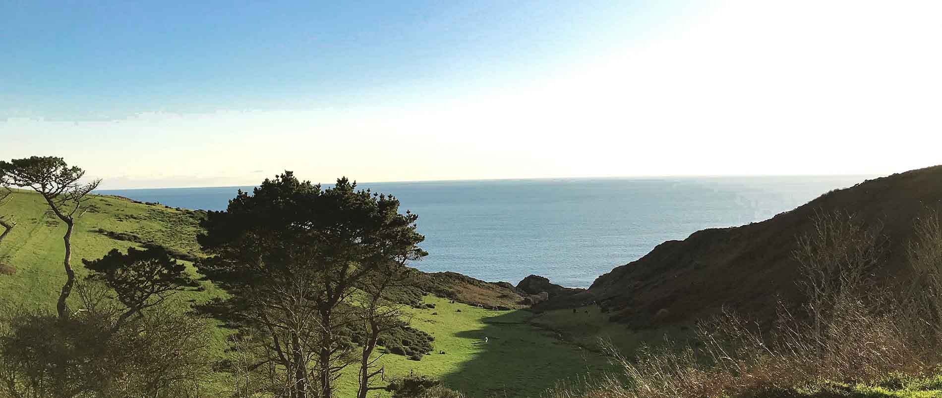 The view of the sea from Battisborough House