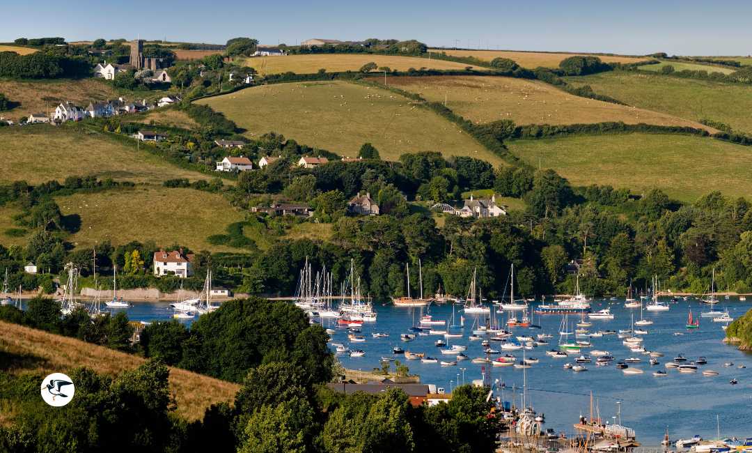 View of Salcombe in the summer