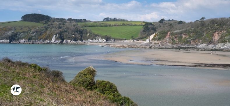 Mothecombe Bay Beach, walking distance from The Lookout