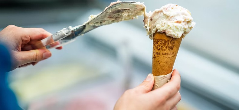 Surfing Cow ice cream